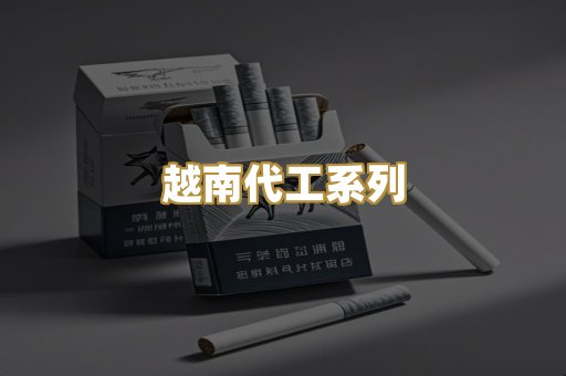 越南代工系列